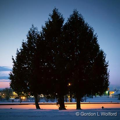 Three Pines_05010-12.jpg - Photographed along the Rideau Canal Waterway at Smiths Falls, Ontario, Canada.